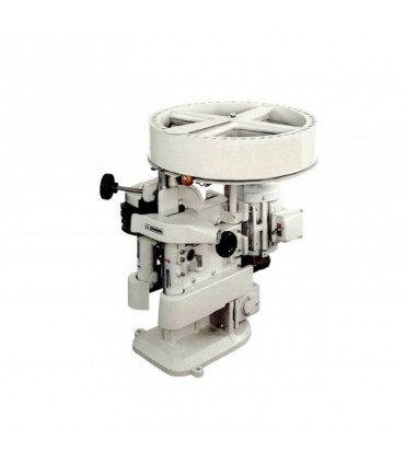 Masina pentru frezat dibluri Winter FS-36