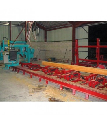 Ferastrau pentru busteni, gater Winter 1200 Super Professional