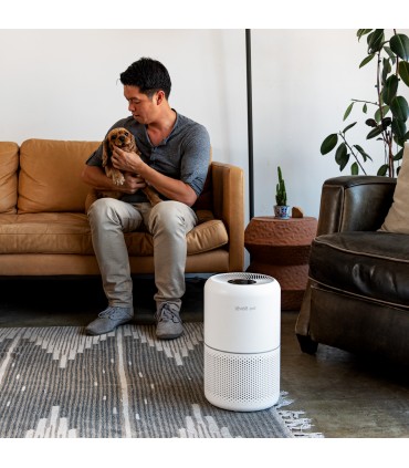 Purificator de aer Levoit - Core 350 RO