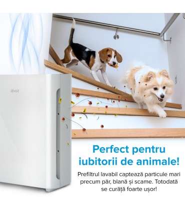 Purificator aer Levoit Vital 100-RXV